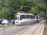 Faceti click pentru a mari poza