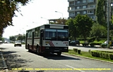 Faceti click pentru a mari poza