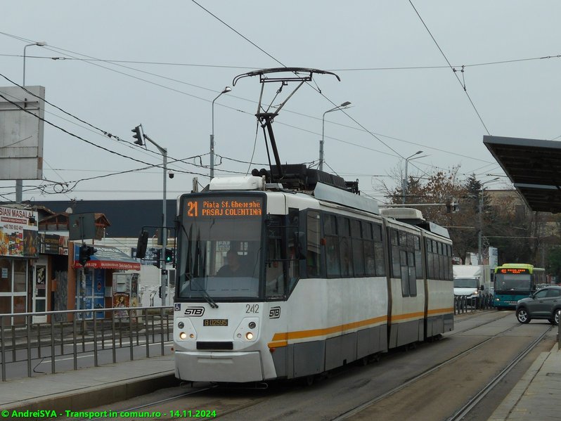 #242.JPG