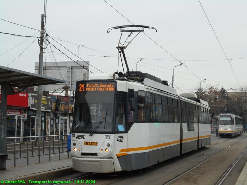 #350.JPG