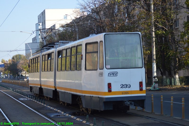 #239-2.JPG