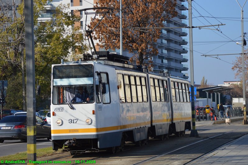 #317.JPG