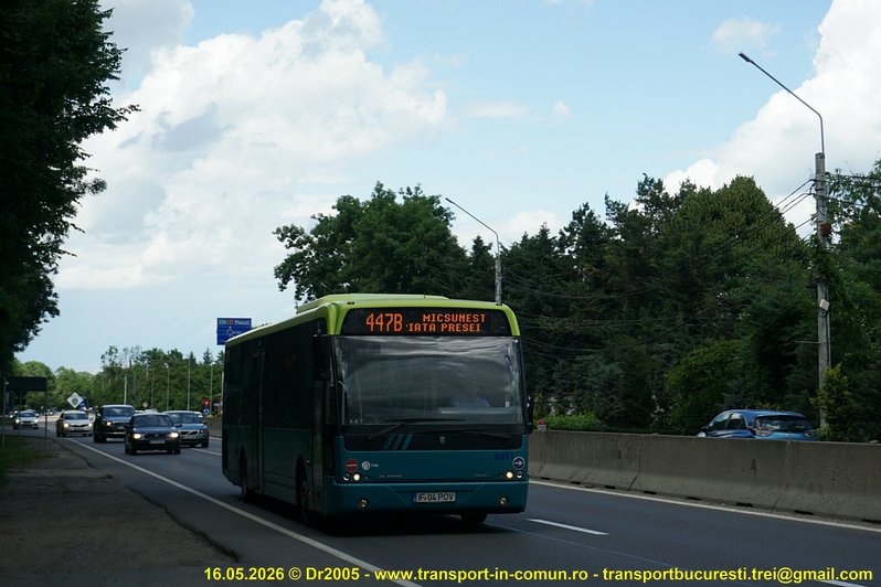 8071-447B-1000.jpg