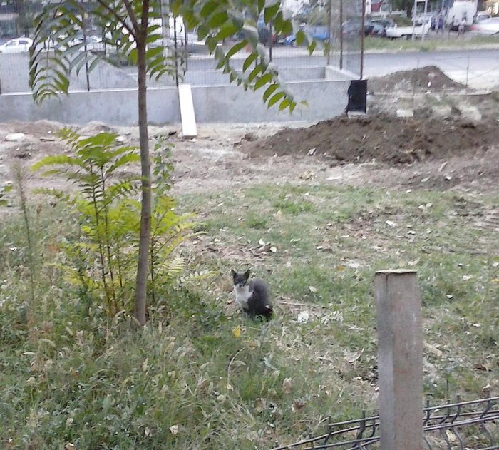 CAM03811.jpg