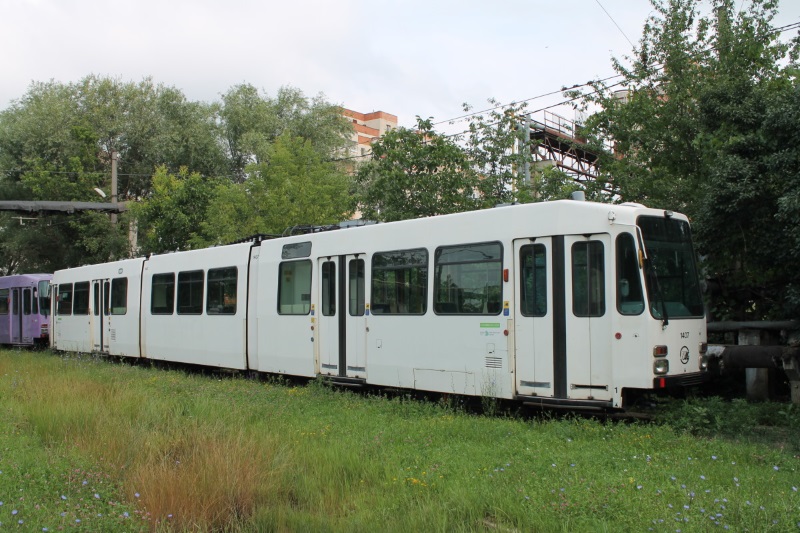 1407 - 295.jpg