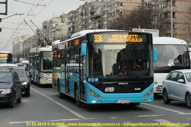 6429-336.jpg